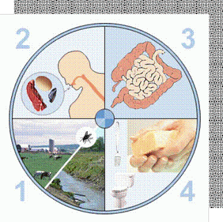 HACCP_65